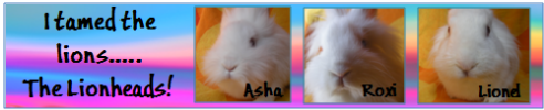 photo f5c60985-e8e8-44f1-9efe-c78a0856e311_zps7437d3e6.png