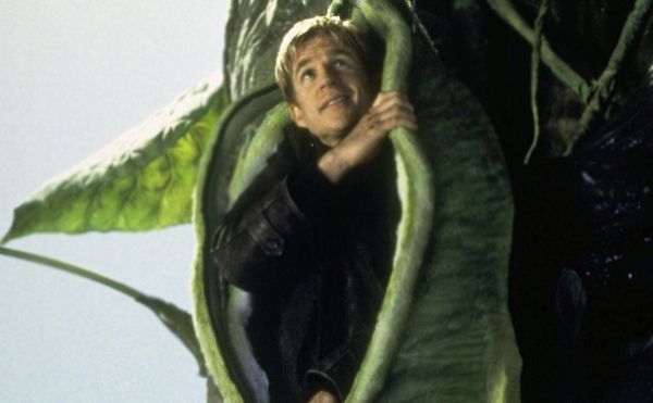  photo beanstalk2.jpg