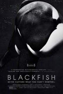  photo blackfish-1.jpg