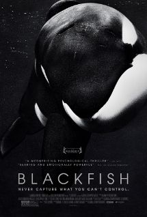  photo blackfish.jpg
