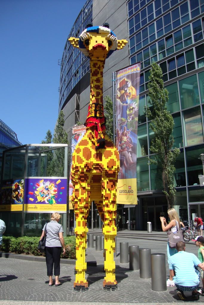 DSC01101.jpg
