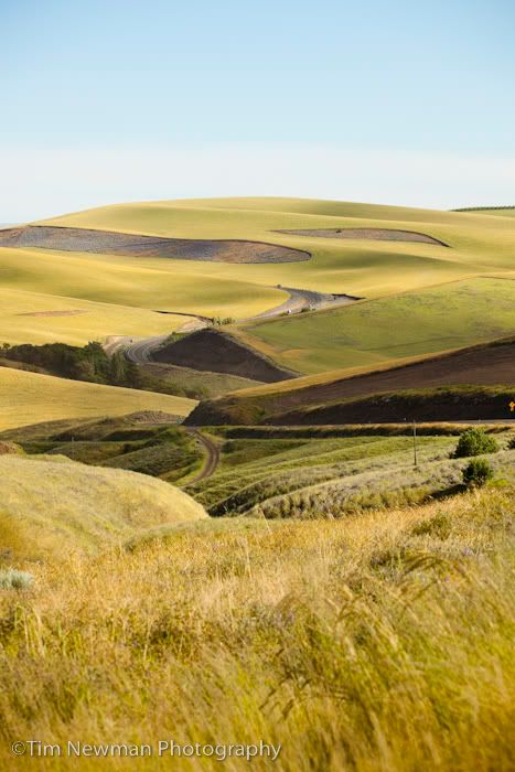 The high desert of Oregon