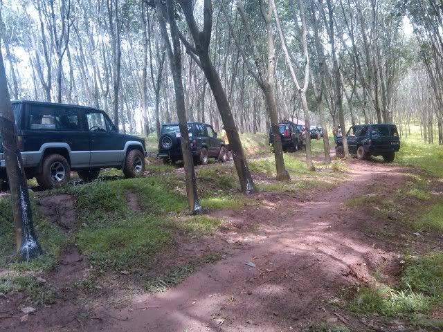 IMG00147-20110130-1317.jpg