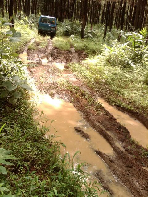 IMG00222-20110130-1022.jpg
