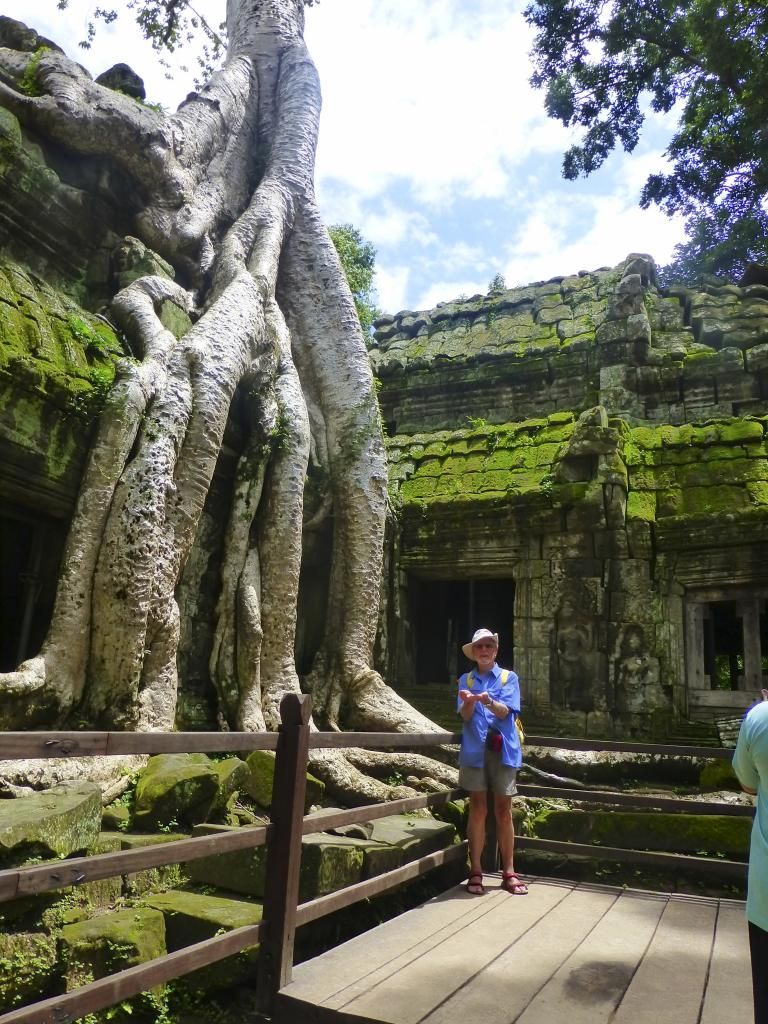 Ray Let's toast him ( and maybe roast him) SpanishDict Answers