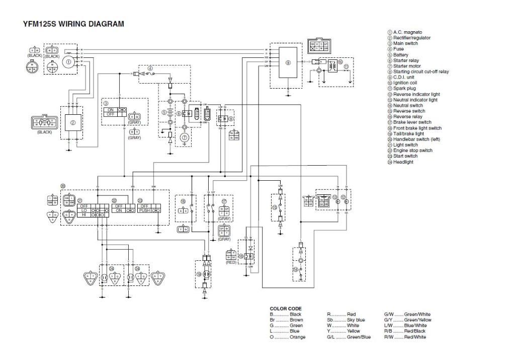 2007 Yamaha 125 Grizzly Wiring Diagram Bmwiok Down8