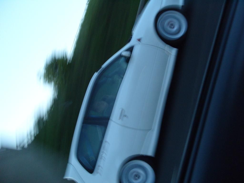 S1050456-1.jpg