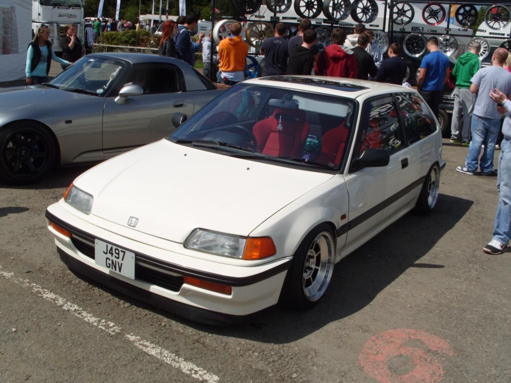 S1050495.jpg