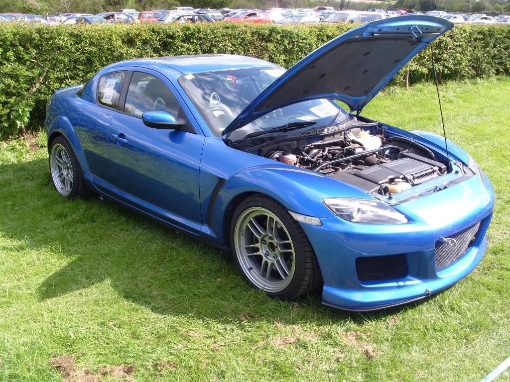 S1050546.jpg