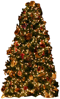 Christmas_Tree.png Christmas Tree image by loquitotravieso