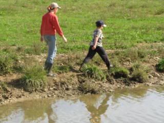 Measuring the perimeter of the pond
