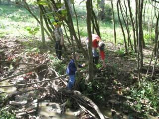 This particular pond is stream-fed and a stream leads away from it, too. We followed the stream and the kids decided to build a bridge across with some downed limbs.