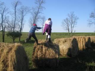 Jumping from hay bale to hay bale.